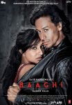 Baaghi202016.jpg